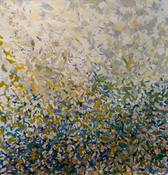 Petal Storm