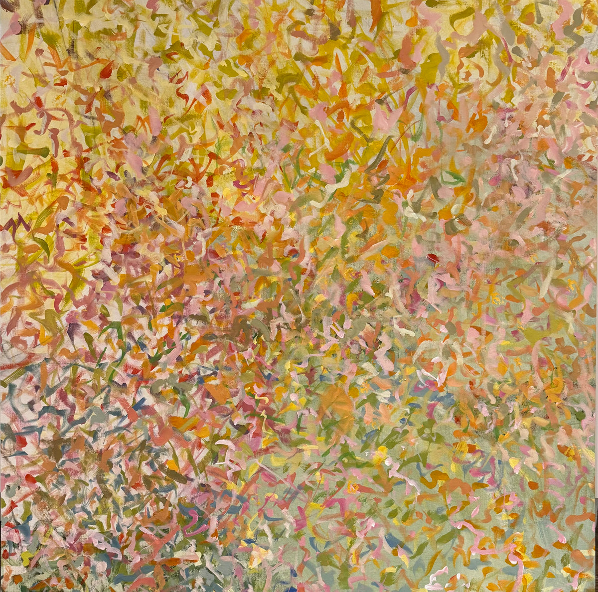 Color Explosion