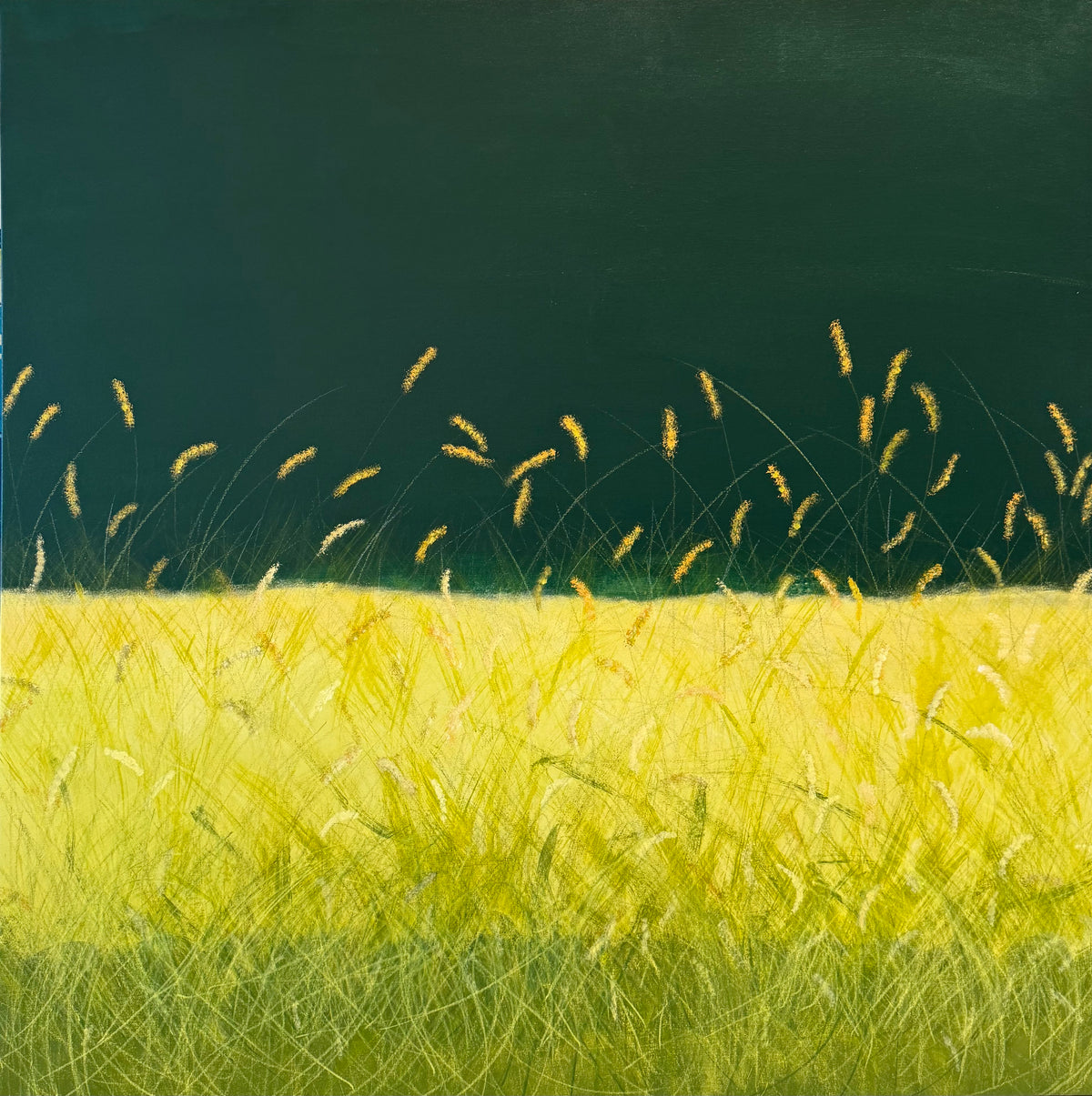 Fresh Meadow