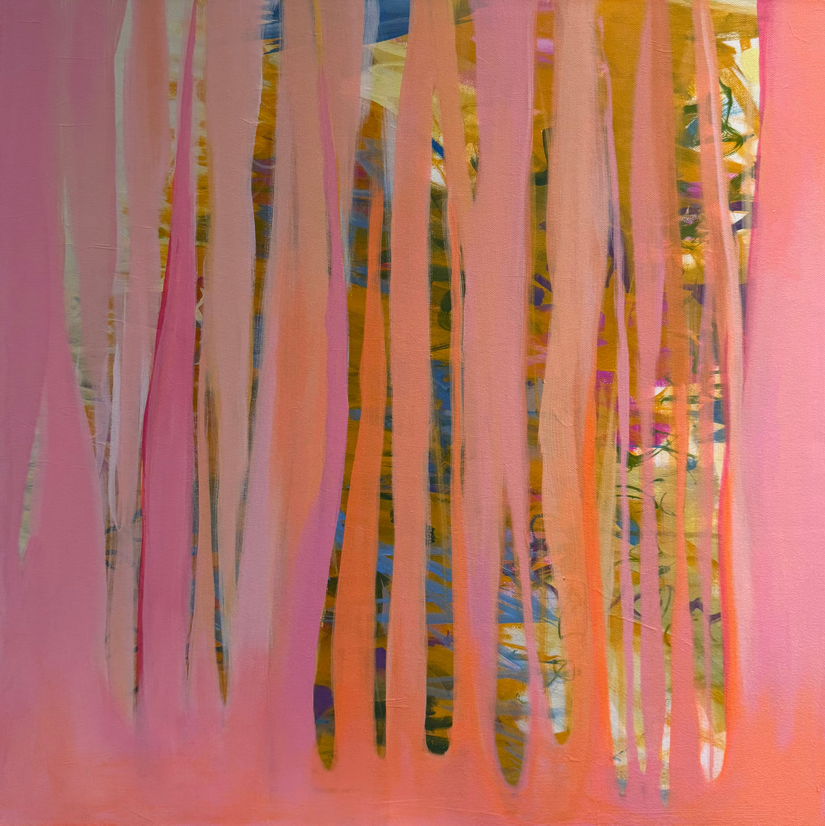 The Curtain